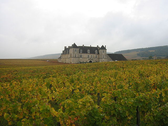 de nombreux chateaux et vignobles Ã  vendre en FRANCE